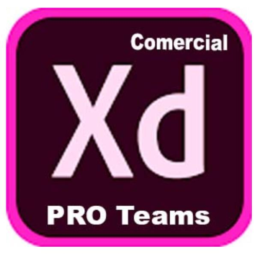 Adobe XD Pro for teams - Nuovo abbonamento (1 anno) - 1 utente - GOV - Adobe Value Incentive Plan (VIP) Marketplace - Livello 1 (1-9) - For existing XD customer add-ons only, No new customers - Win, Mac - Multi European Languages